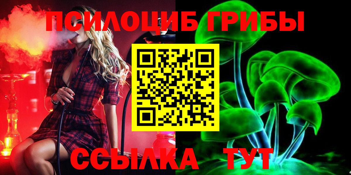 Братск  Галлюциногенные грибы GOLDEN TEACHER  Псилоцибиновые грибы Cubensis  Вход с VPN 